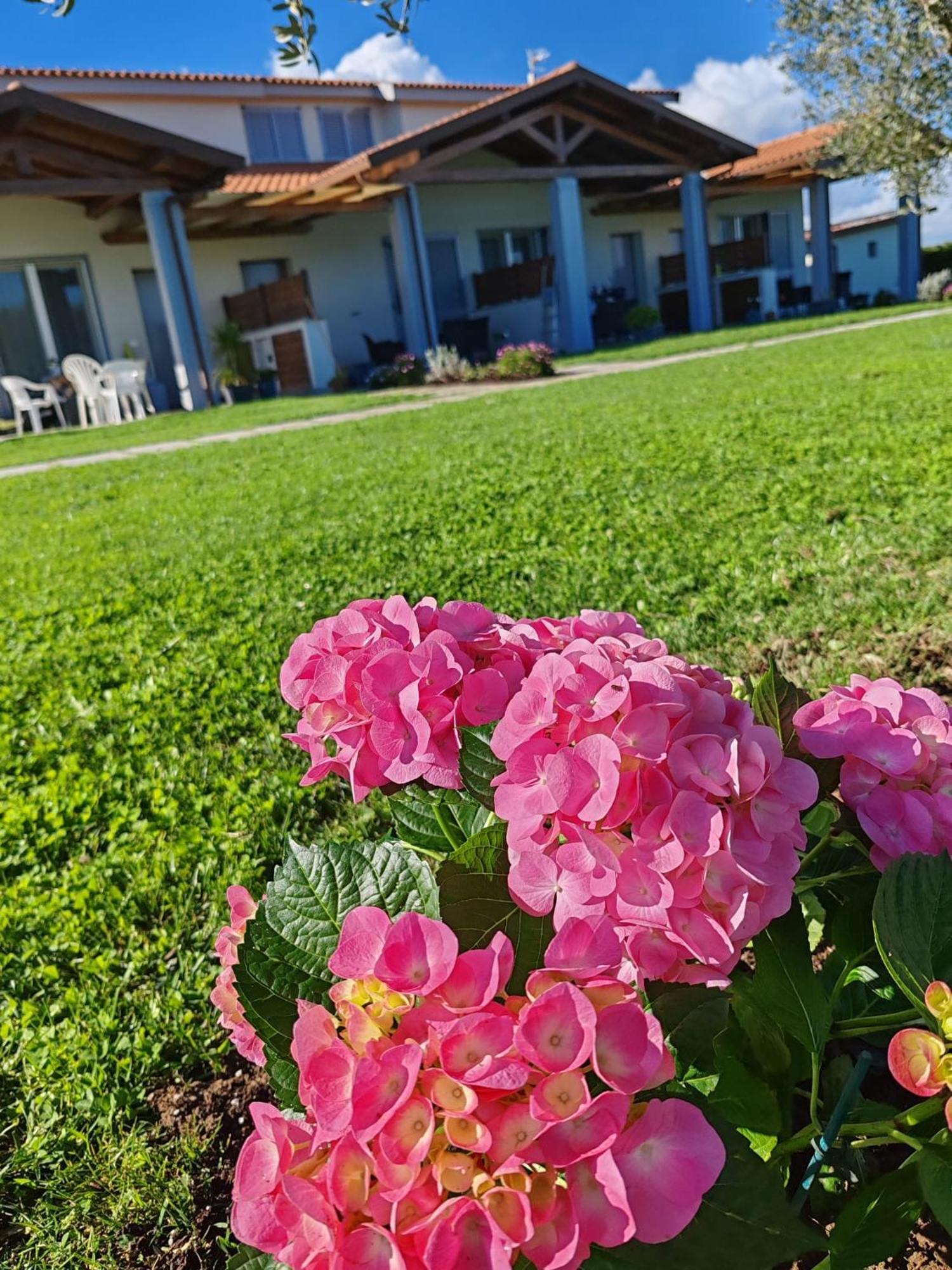 מרינה די גרוסטו Residence La Pace - Pool & Relax מראה חיצוני תמונה