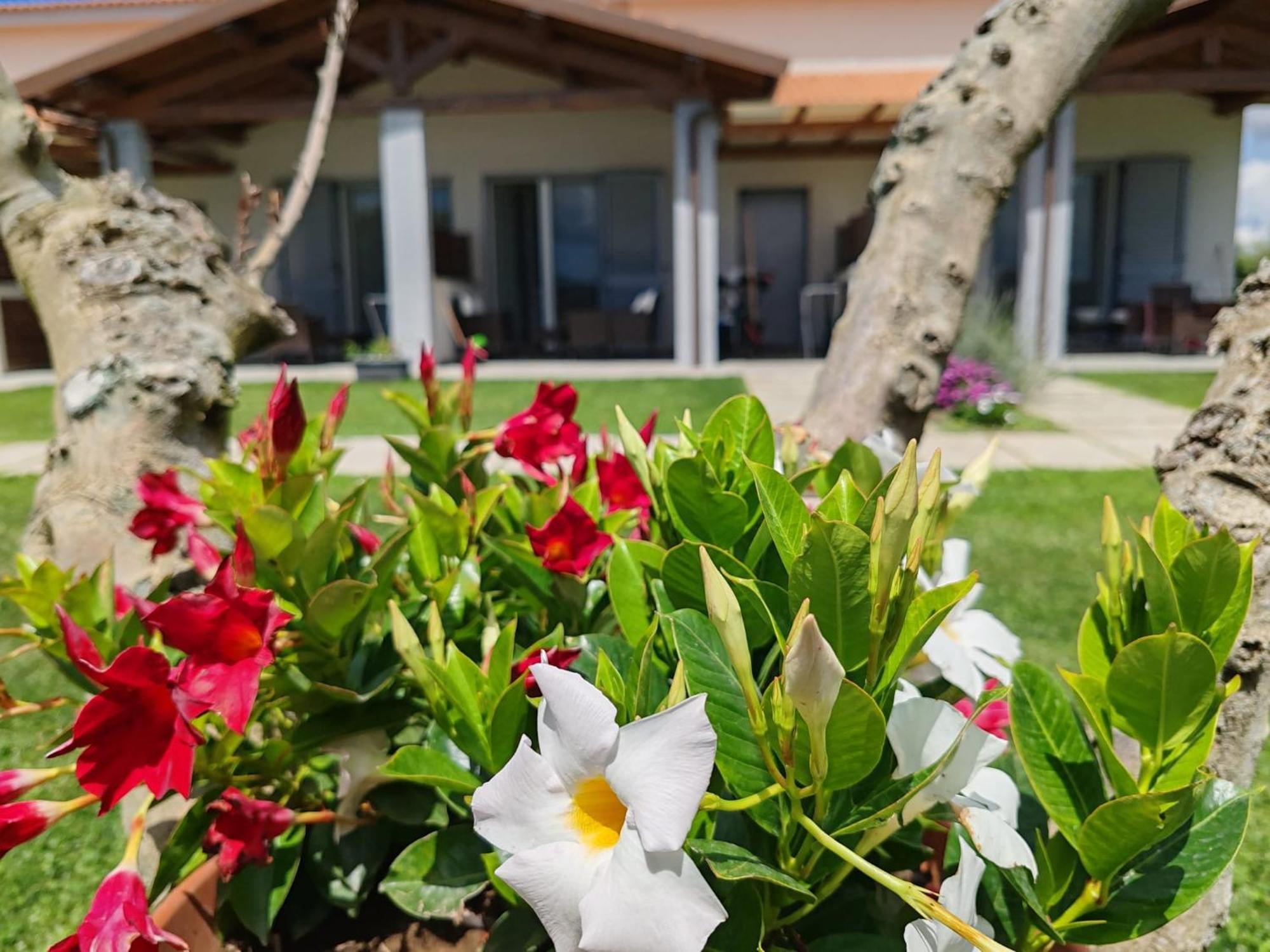 מרינה די גרוסטו Residence La Pace - Pool & Relax מראה חיצוני תמונה